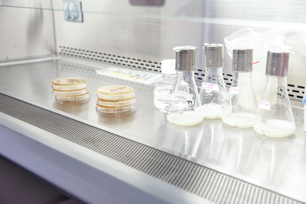 Precision Fermentation: The Future of Dairy is Here